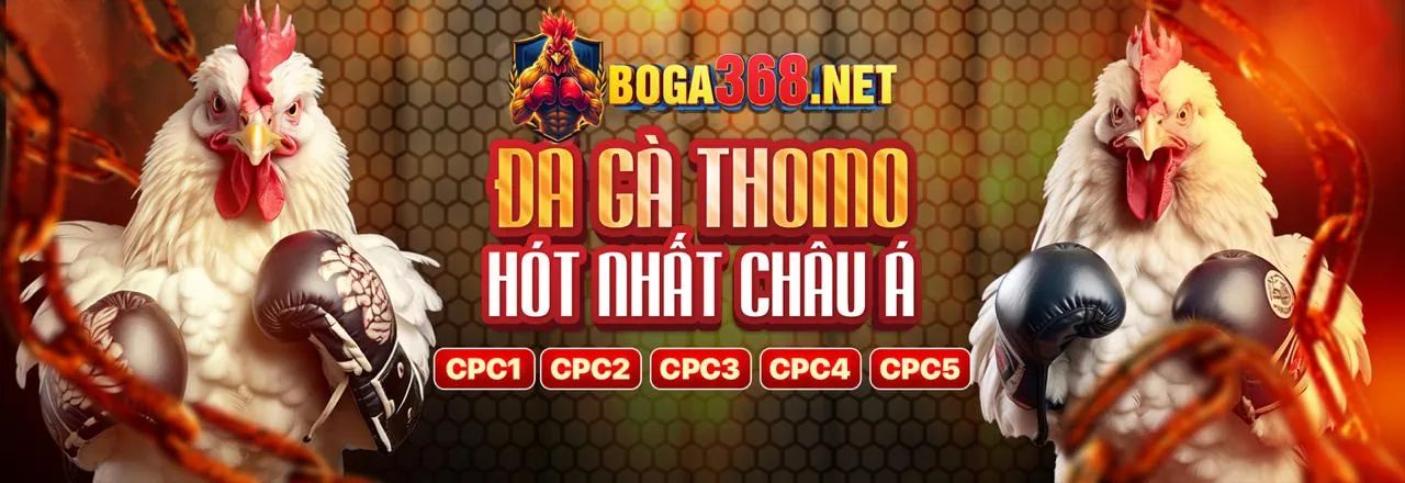 Giấy phép hoạt động hợp pháp